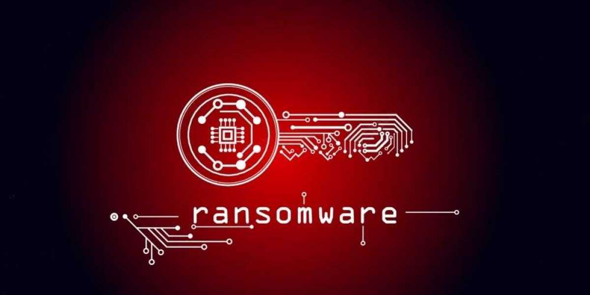 The Basics of Ransomware: Best Strategies for Reaction and Prevention