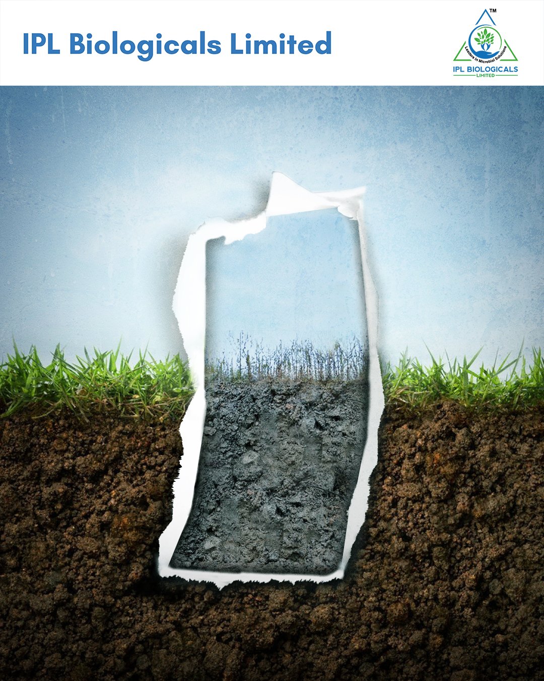 Comparing Organic and Inorganic Fertilizers: Which One is Superior?