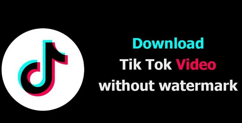 TikTok downloader tanpa watermark - D Video Tiktok Online