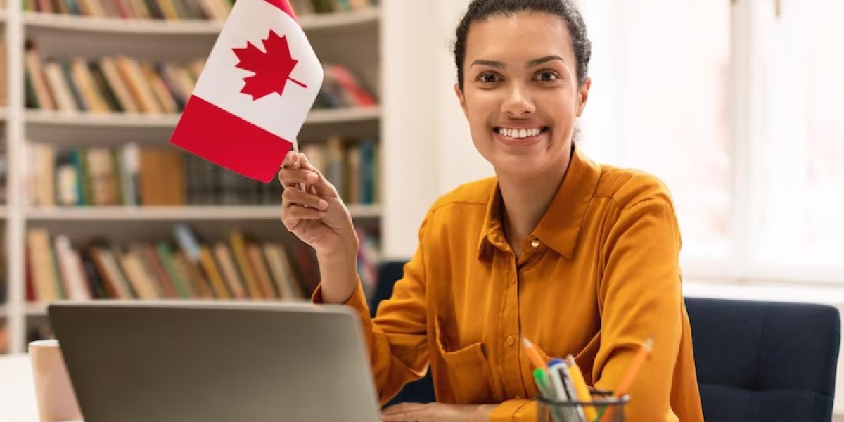 Understanding the Canadian Immigration System for Indians: A Beginner's Guide