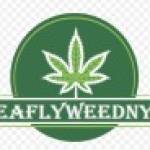 leaflyweed NYC Profile Picture
