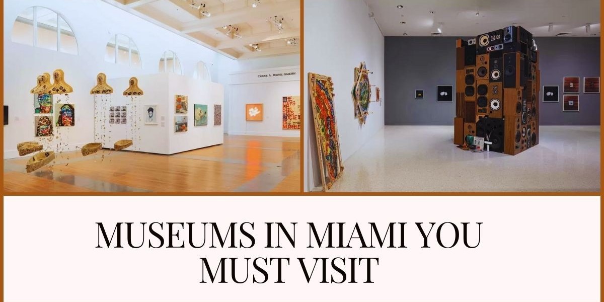 Museums in Miami You Must Visit