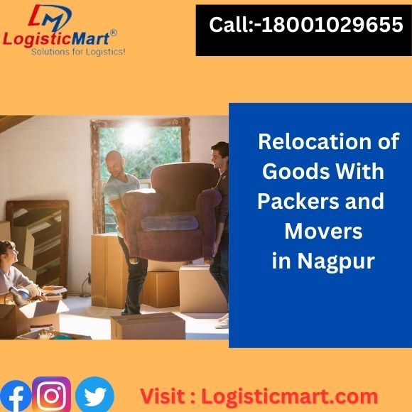 What Packers and Movers in Nagpur do to move your pets