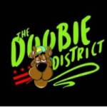 Doobie District Profile Picture