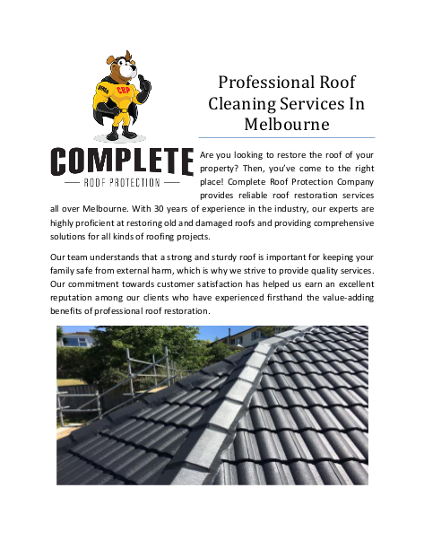 Professional Roof Cleaning Services In Melbourne