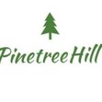Pinetree Hill profile picture