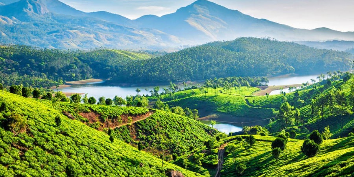 2 nights and 3 days in Munnar, Kerala, with a tour package from Bangalore