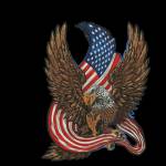 Go Digitizing Profile Picture