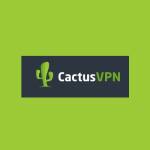 Cactus VPN Inc Profile Picture