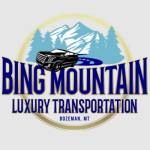 Bing Mountain Luxury Transportation Profile Picture