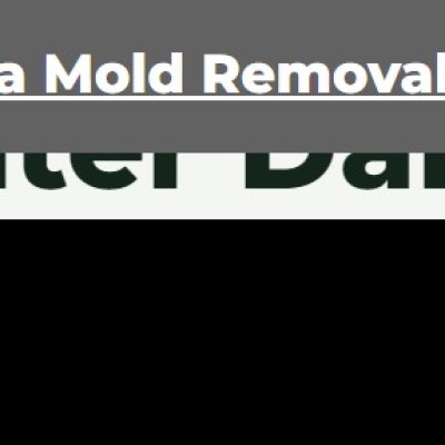Mold inspe Profile Picture