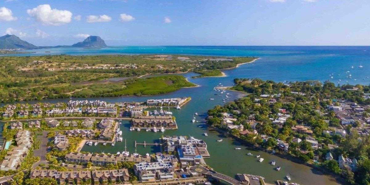 The Step-by-Step Guide on Registering Your Company in Mauritius