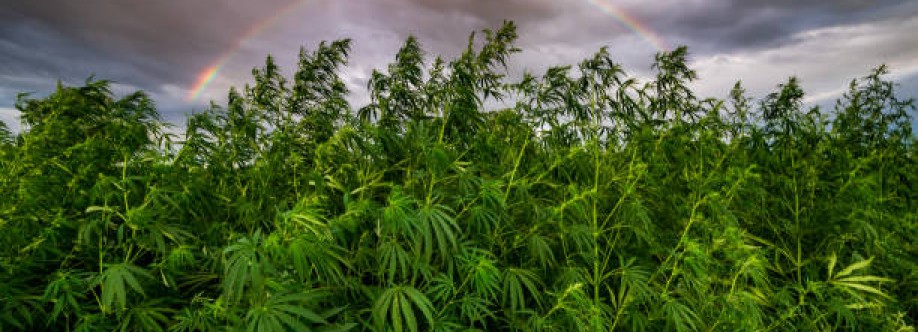 Weed Australia Cover Image