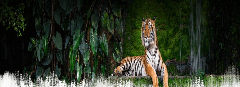 Ranthambore National Park Cover Image