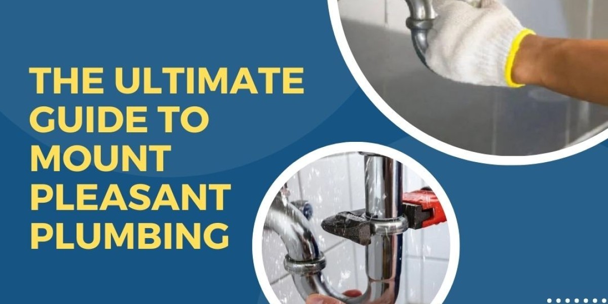 The Ultimate Guide to Mount Pleasant Plumbing: How Patriot Plumbing Can Solve Your Plumbing Problems