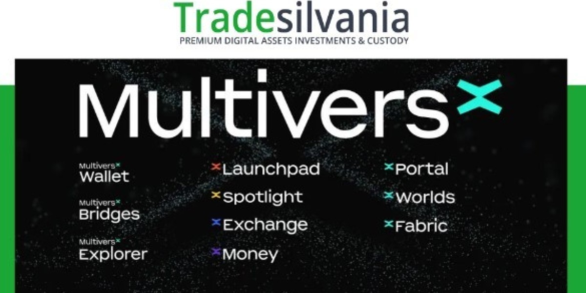 What is MultiversX and why is it a blockchain of interest to the crypto and Web3 ecosystem