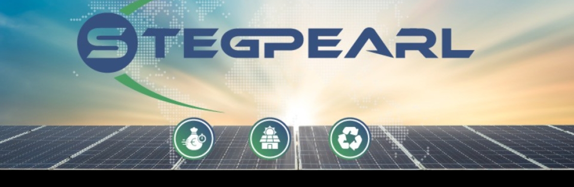 Ella Schneider Schneider Cover Image