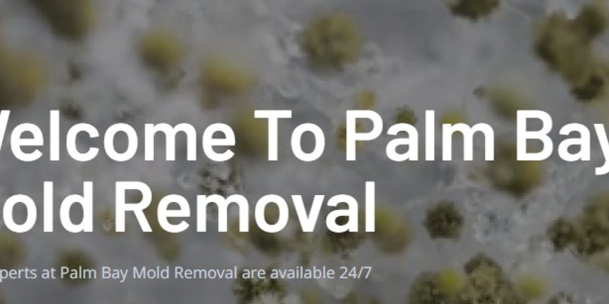  Water Mitigation in Palm Bay: Restoring Properties After Water Damage