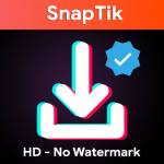 Snaptik App Profile Picture