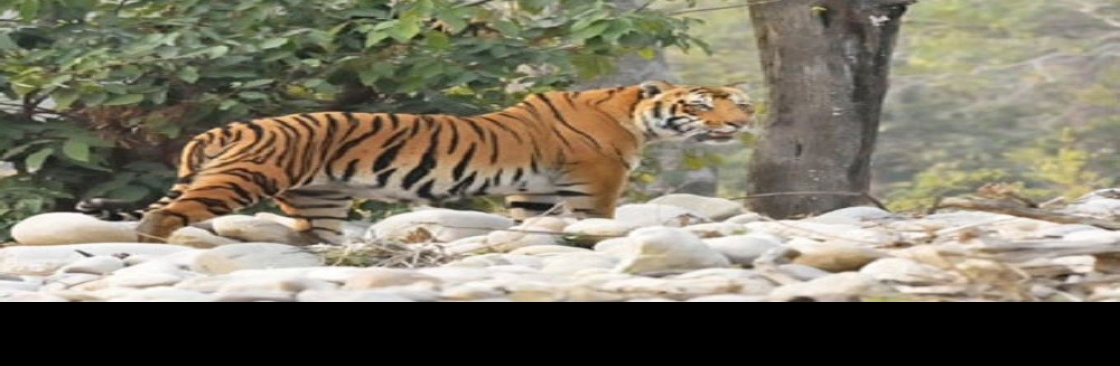 Jim Corbett Tour Packages Cover Image