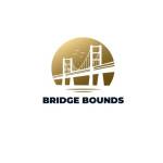 Bridge Bounds Profile Picture