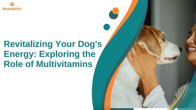 Revitalizing Your Dog's Energy: Exploring the Role of Multivitamins