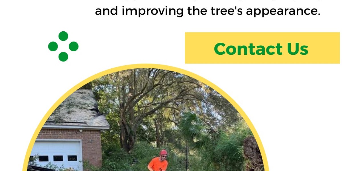 The Importance of Regular Tree Maintenance | Absolute Trees
