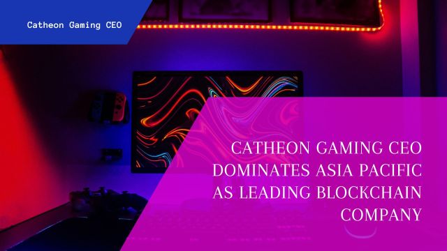 Catheon Gaming CEO on Tumblr