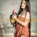 myheavenmodels visakhapatnam Profile Picture