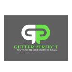 Gutter Perfect Profile Picture