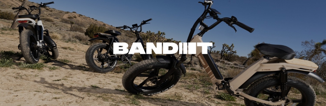Bandit Bikes Cover Image