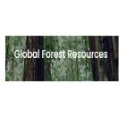 Global Forest Resources Profile Picture