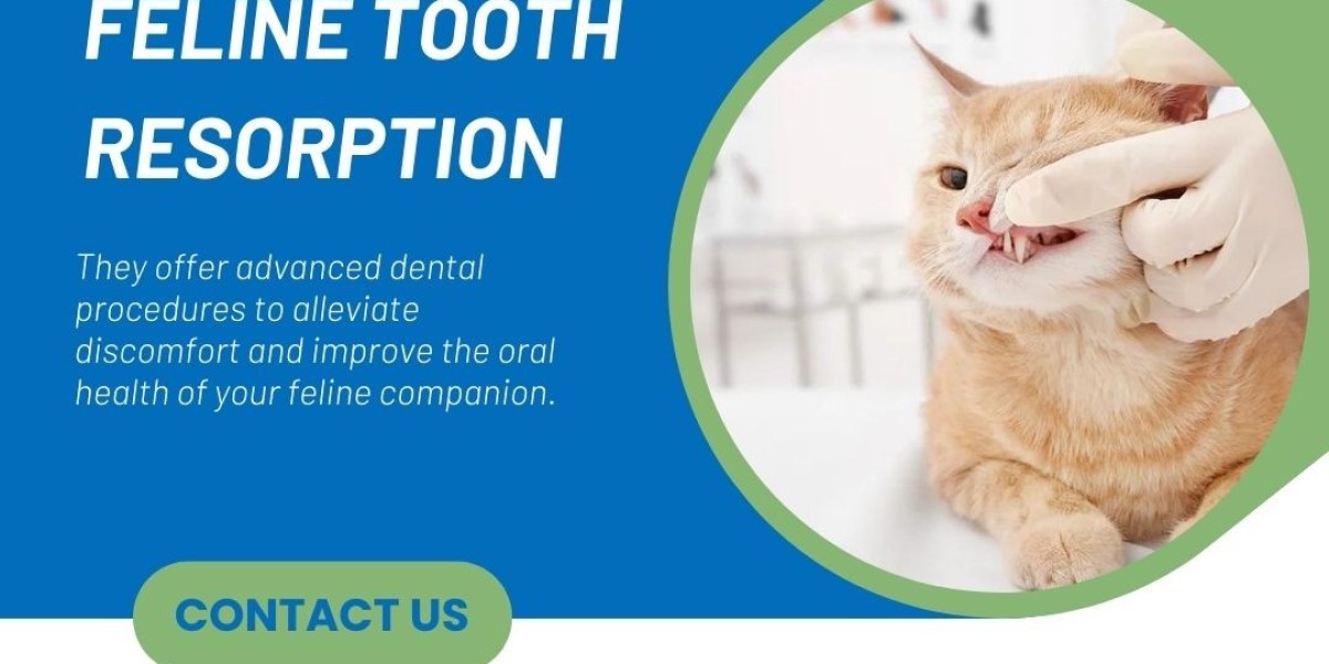 Understanding Feline Tooth Resorption: The Importance of Veterinary Dental Care