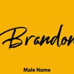 Brandon Smith Profile Picture