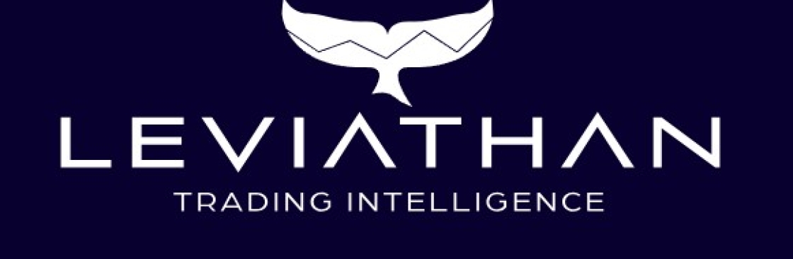 Leviathan Financial Management LLC Cover Image