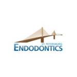 St Petersburg Endodontics Profile Picture