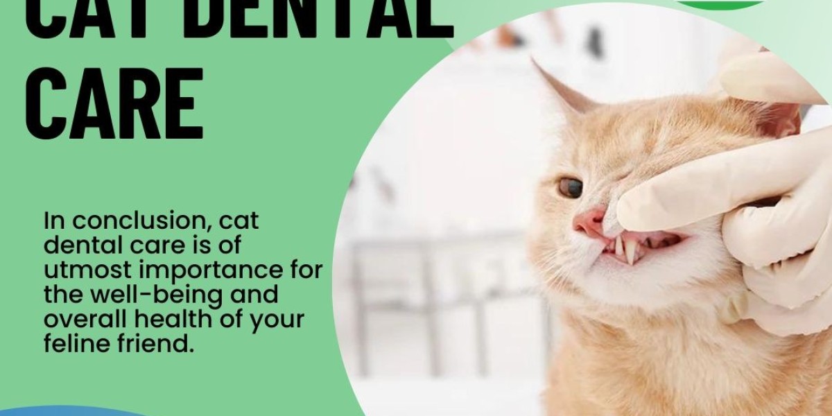The Importance of Cat Dental Care: How Veterinary Dental Care Keeps Your Feline Friend's Teeth Sparkling