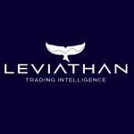 Leviathan Financial Management LLC profile picture