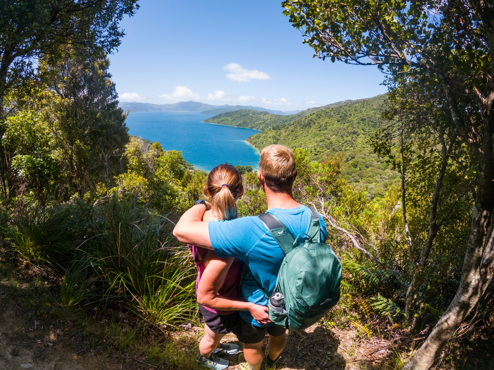 Picton Holiday Park | Tasman Holiday Parks