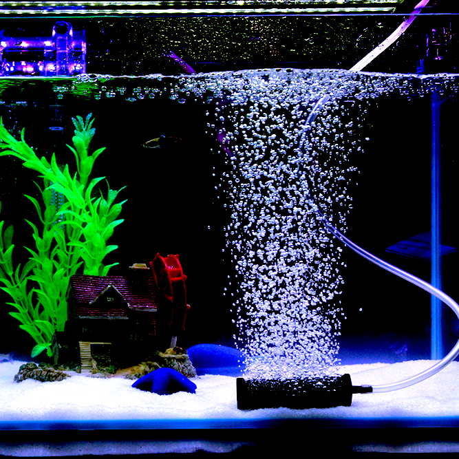 Noise Reduction Techniques for Air Stones: Enjoying a Peaceful Aquarium Environment – Aqua Scaping