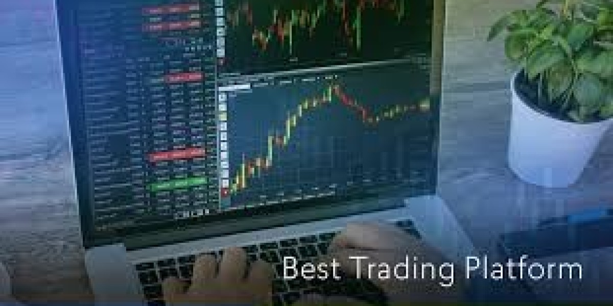 Importance Of   best trading platform