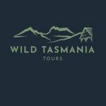 Wild Tasmania Tours profile picture