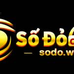sodo casino66 Profile Picture