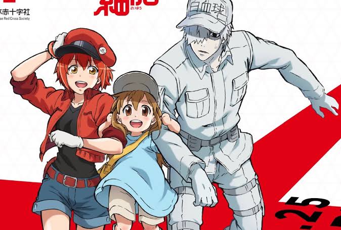 Cells at work season 2 - New update in 2020 - Sharetok