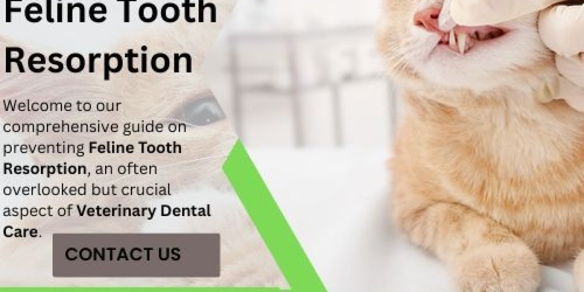 Preventing Feline Tooth Resorption: A Comprehensive Guide to Veterinary Dental Care