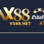 Vx88 Net Profile Picture