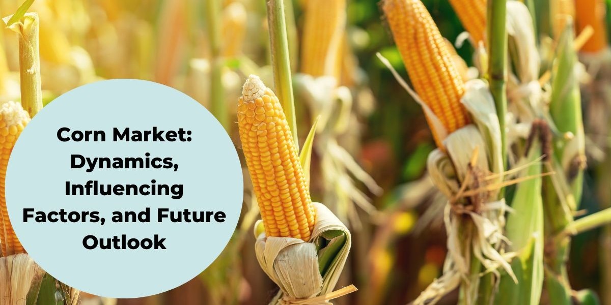 Sustained Growth in the Corn Market: Forecast Projects 1.1% CAGR for 2023-2028