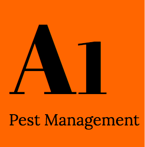 Ant Pest Control Brisbane - A1 Pest Management