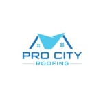 Pro City Roofing profile picture