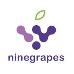 Nine Grapes Profile Picture